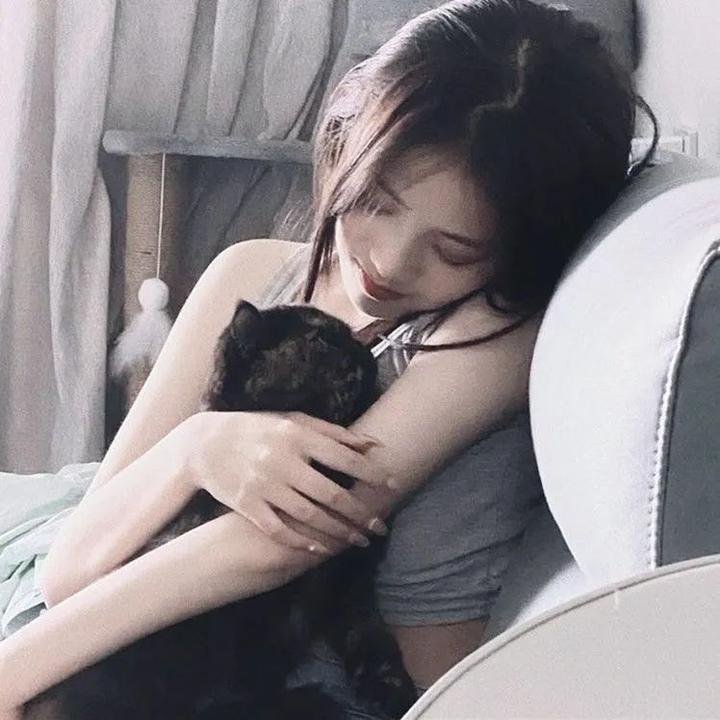 熊熊要结婚